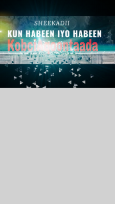 Kun Habeen Iyo Habeen.pdf